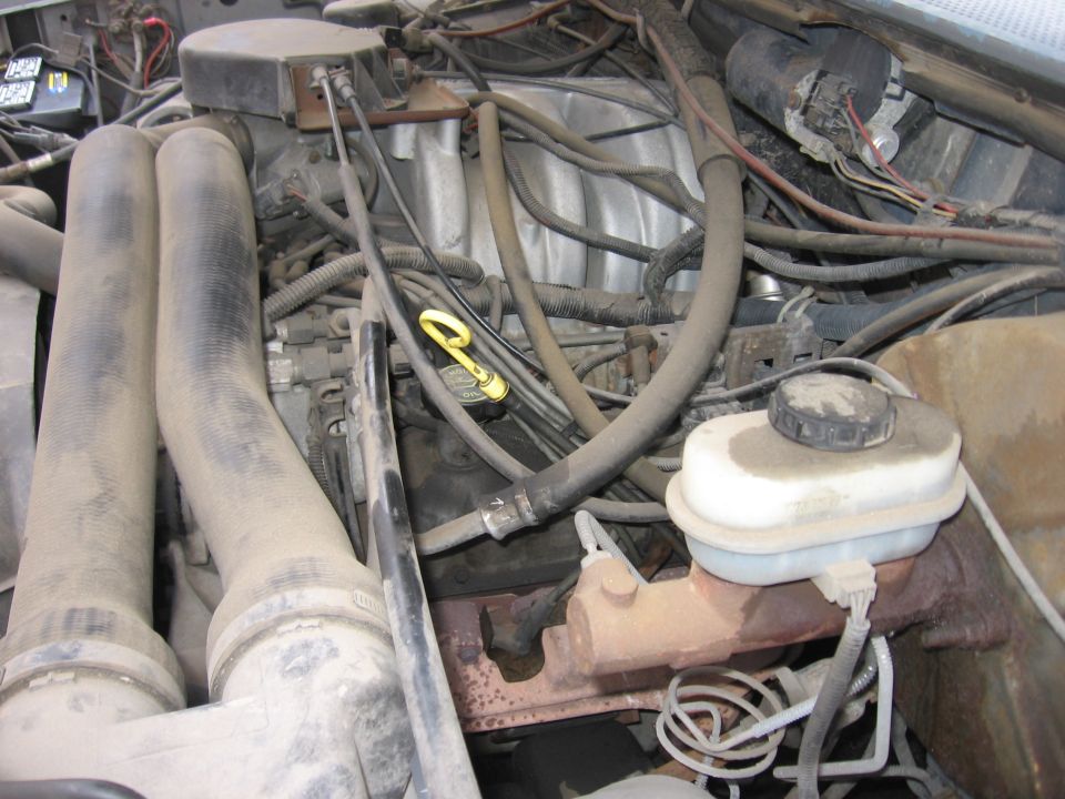 engine bay with hoses, wires, and brake fluid reservoir
