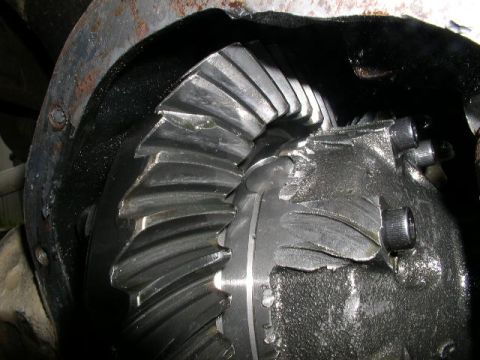 1979 Ford Bronco - Damaged differential gears are visible in this close-up view, covered in black grease and showing signs of wear and tear.