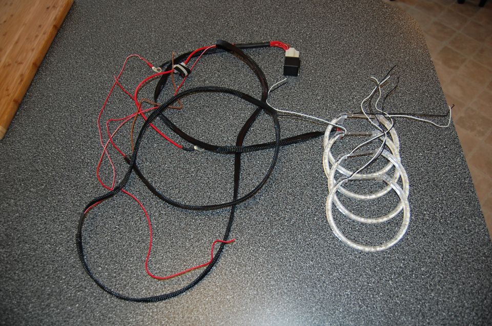 Four halo angel-eye rings and their wiring harness with relay laid out on a counter