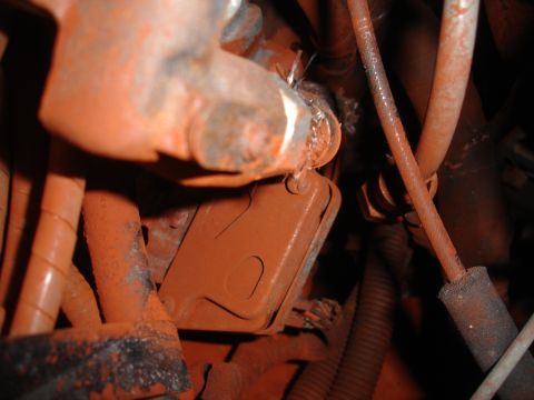 1989 Ford Taurus - Close-up view of engine components, showing hoses and painted metal parts. Text '115 39' is visible on one of the hoses.