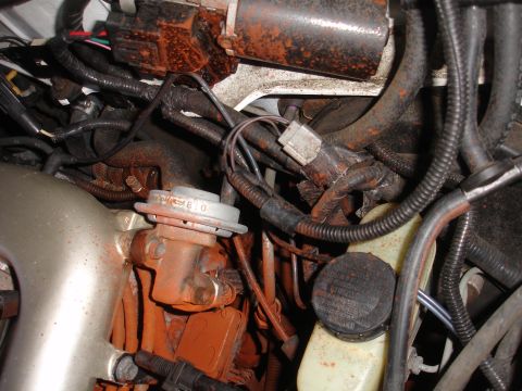 1989 Ford Taurus - Engine bay details showing various parts and wiring harnesses.