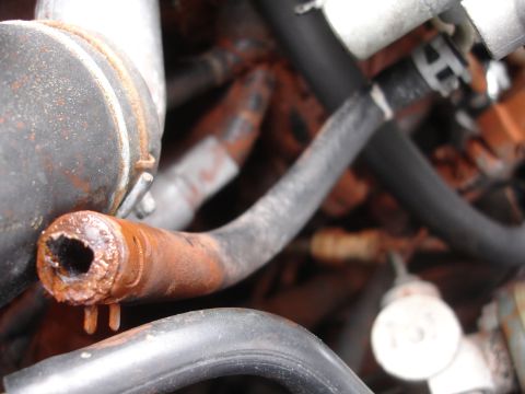 1989 Ford Taurus - This close-up shows a severely rusted and damaged engine hose, indicating potential mechanical issues.