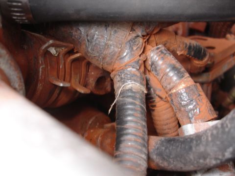 1989 Ford Taurus - Close-up view of a corroded engine wiring harness with black corrugated tubing.