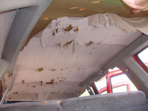 1992 Ford Explorer - The headliner in this vehicle is peeling and torn, revealing the underlying material.