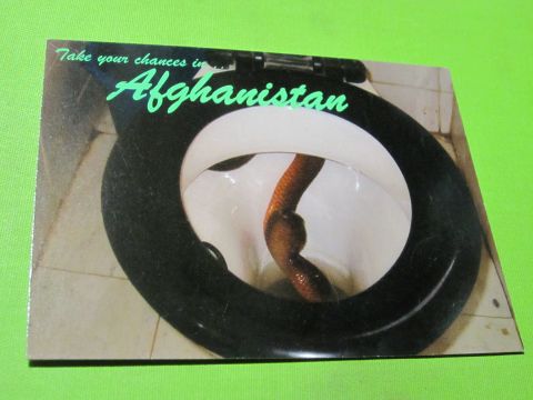 2003 Jeep Wrangler - A snake is visible inside a toilet bowl, with text overlay reading 'Take your chances in Afghanistan'.
