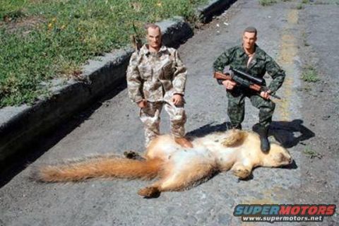 1969 Ford Mustang - A staged scene depicts two toy soldiers posing with a dead squirrel on a paved surface, with a watermark for Supermotors.net visible.