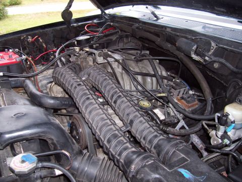 1994 Ford Bronco - Before