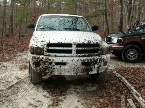 2001 Dodge 1500 - A white 2001 Dodge 1500 pickup truck is heavily covered in mud, parked in a wooded area next to another vehicle.