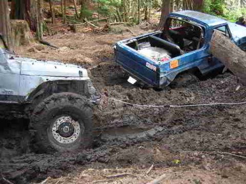 1979 Ford Bronco - Two off-road vehicles are deeply stuck in mud, with one partially covered by a fallen tree.