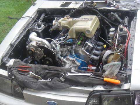 1987 Ford Mustang photo