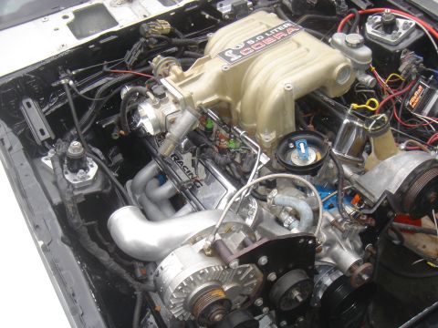 1987 Ford Mustang photo