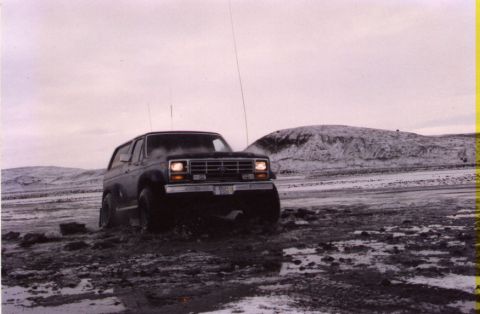1986 Ford Bronco - the Bronco made it!!