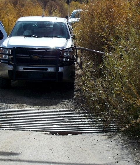 1979 Chevrolet Blazer - A white pickup truck is seen from the front, partially hidden by dense vegetation.