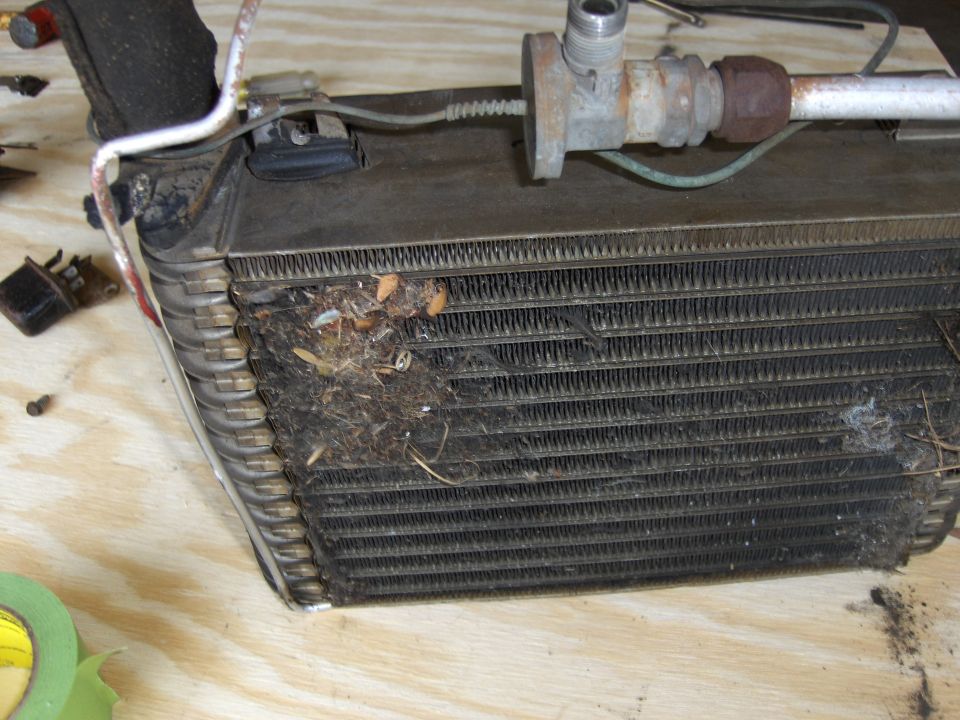 car AC evaporator core with debris on fins