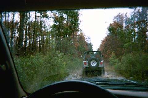 1985 Ford Bronco - Two vehicles navigate a muddy path surrounded by dense foliage and trees.