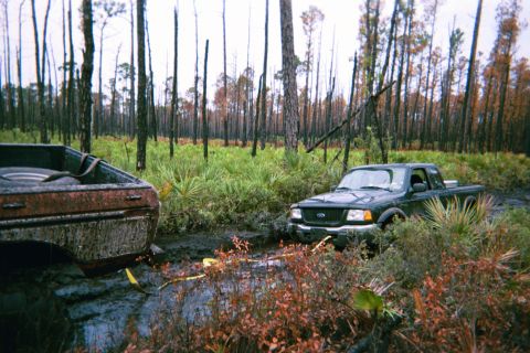 1985 Ford Bronco - Two trucks are stuck in the mud amidst a forest with burnt trees.