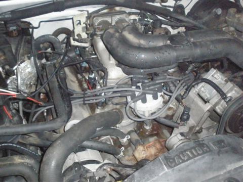 1994 Ford F-350 - The engine bay is filled with hoses and wiring, with visible signs of leakage around the water pump.