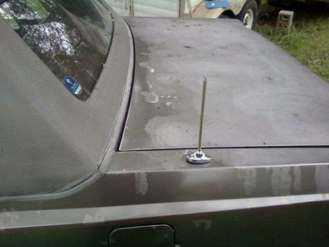 2000 Mercury Grand Marquis - The image shows the hood and antenna of a car, with a sticker visible on the windshield pillar.