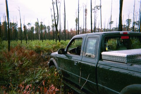 1985 Ford Bronco - Pickup truck navigates through a forest with evidence of a recent fire.