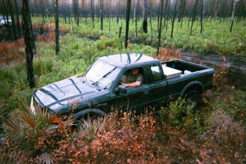 1985 Ford Bronco - A Ford Ranger navigates through a forest with a mix of green foliage and burnt trees.
