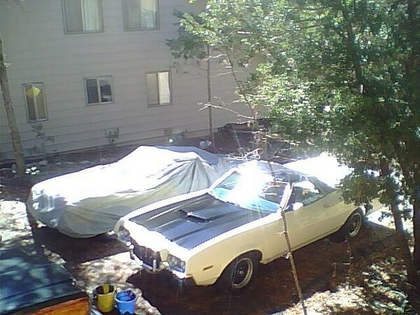 Overhead view of a white Ford Ranchero with freshly painted black hood in a side yard