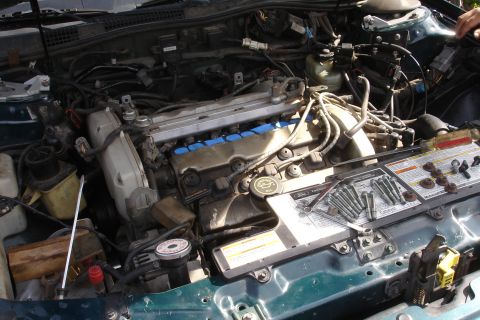 1995 Ford Taurus - Engine bay of a 1995 Ford Taurus, showing cam seals and various bolts organized for repair.