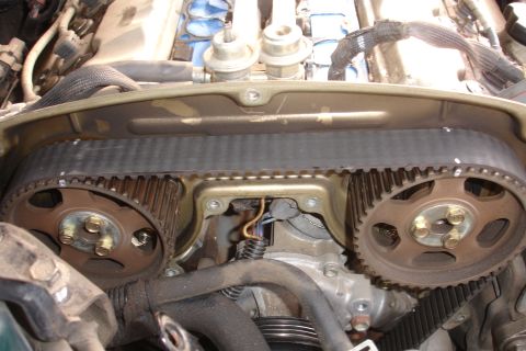1995 Ford Taurus - Close-up view of engine timing belt and pulleys.
