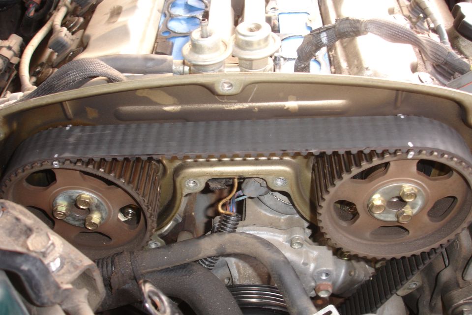 Timing belt and pulleys on an engine