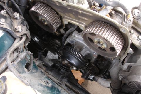 1995 Ford Taurus - Engine timing belt and associated pulleys and gears are visible in this close-up view.