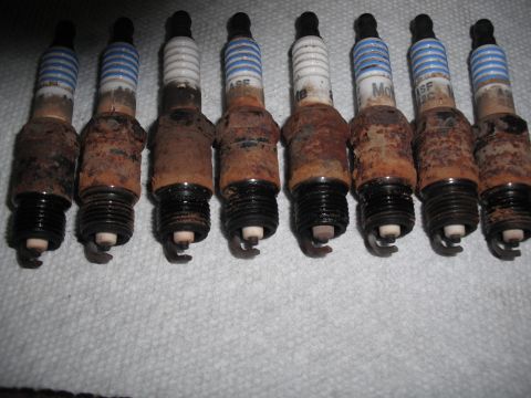 1991 Ford Bronco - Several used spark plugs, showing significant rust and wear, are laid out on a white textured surface.