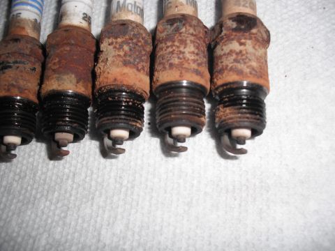 1991 Ford Bronco - These five spark plugs show significant rust and wear on their metal components.