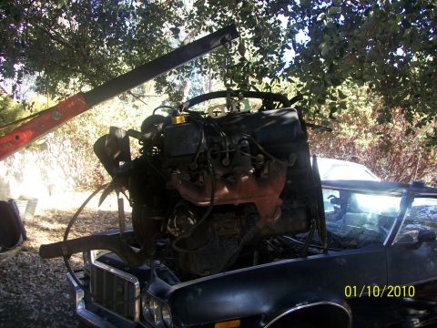 1973 Ford Ranchero - An engine is being removed from a vehicle using an engine hoist, with trees in the background.