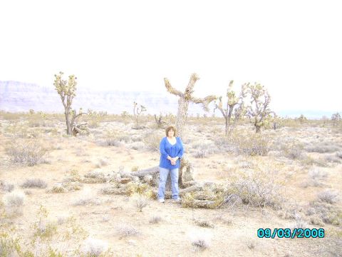 1978 Ford Bronco - A woman poses in a desert landscape dotted with Joshua trees, with a date stamp indicating the photo was taken on September 3, 2006.