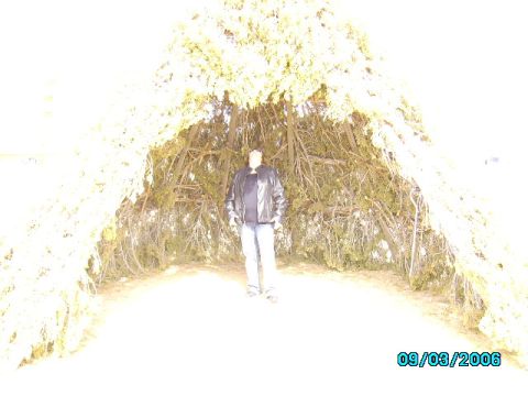 1978 Ford Bronco - A person stands within a natural shelter constructed from branches and foliage.
