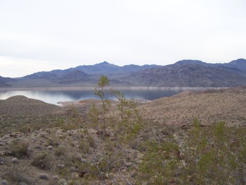 1978 Ford Bronco - A wide view of a desert scene with a lake and distant mountains.