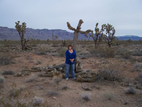 1978 Ford Bronco - A woman poses in a desert landscape with sparse vegetation and distant mountains under an overcast sky.