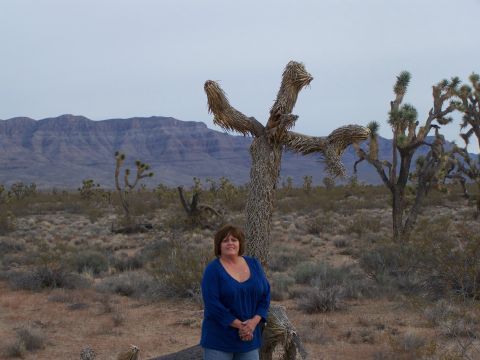 1978 Ford Bronco - A woman poses for a photo in a desert landscape, surrounded by Joshua trees and distant mountains.