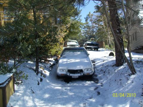 1972 Ford Ranchero - A white car is partially covered in snow, parked in a driveway with other vehicles in the background.