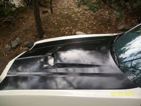 1972 Ford Ranchero - Close-up of a 1972 Ford Ranchero hood a black stripe and a functional scoop.