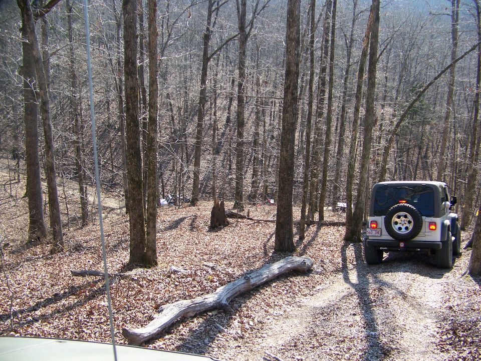 White Jeep Wrangler on a wooded trail
