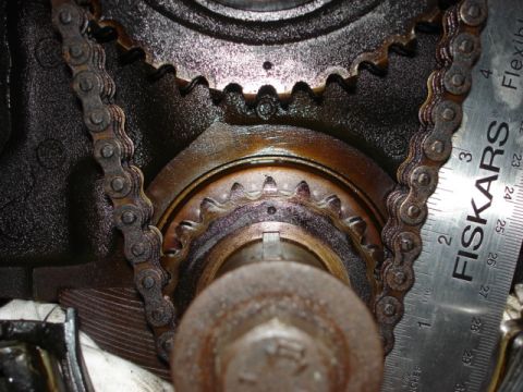 1992 Ford Bronco - Close-up view of engine timing chain and gears, with a ruler for scale.