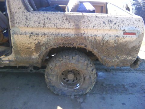 1978 Ford Bronco “Beast”