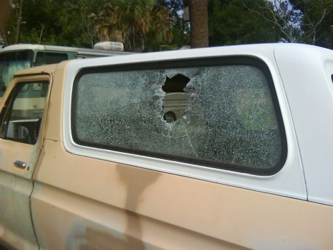 1978 Ford Bronco - Some Dick Lick Did This While It Was In Front Of My House, This Was My 2nd Week To Have It, Had To Drive All The Way To Ark. To Get The New…