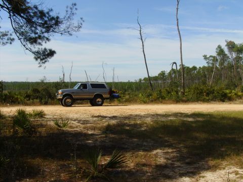 1995 Ford Bronco - A silver 1995 Ford Bronco is parked on a dirt road, surrounded by sparse vegetation and trees under a blue sky.