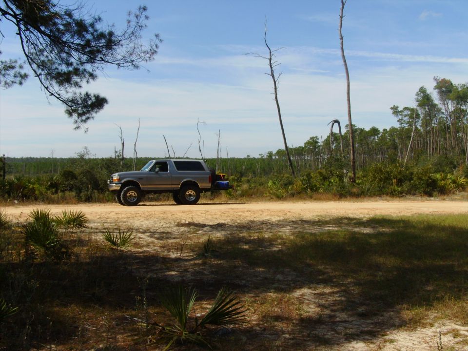 Silver 1995 Ford Bronco parked on dirt road with trees in background
