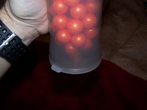1986 Ford Bronco - A hand holds a container filled with orange balls, with a watch visible on the wrist.