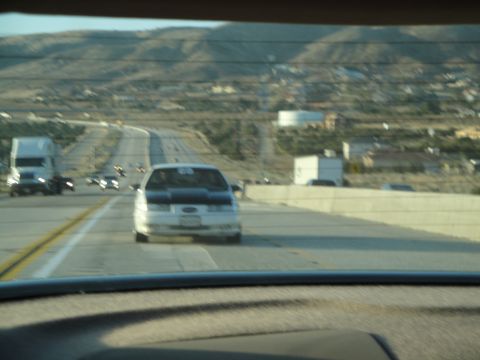 1995 Ford Taurus - A white 1995 Ford Taurus with a black hood drives on a highway, with other vehicles and a truck visible.