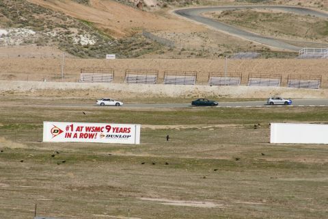 1995 Ford Taurus - Cars race on a track with a large Dunlop sign in the foreground.