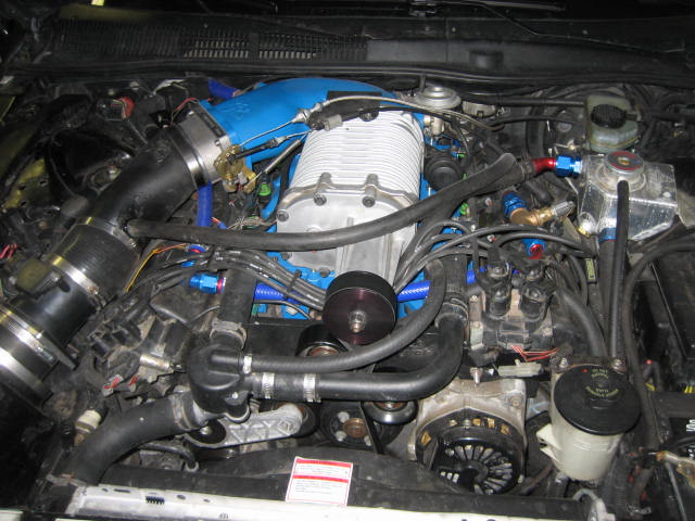 Engine bay with a supercharger, blue intake piping, and various hoses and wires