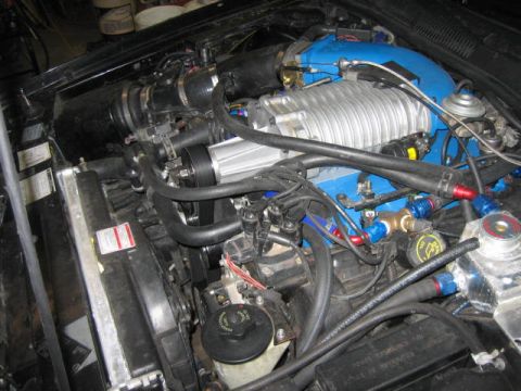 1996 Ford Thunderbird - Close-up view of a modified engine bay, highlighting a prominent supercharger and various hoses.